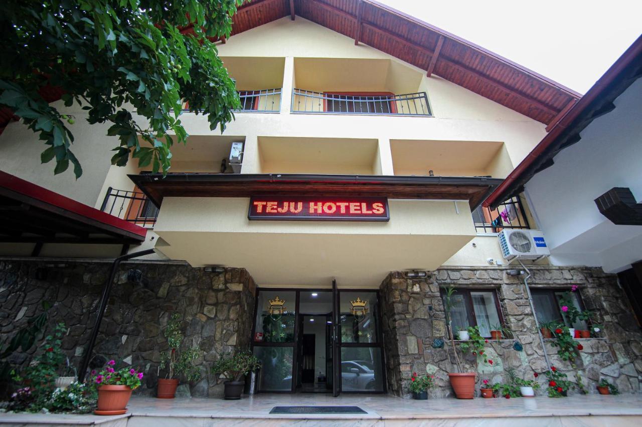 Teju Hotels Slănic المظهر الخارجي الصورة